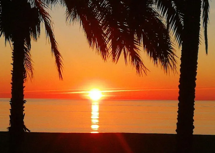 Livemalaga Reding Málaga